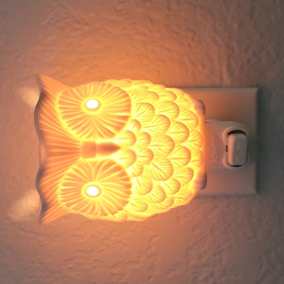 Scentsy Warmers and Wax - Picture 4 of 6